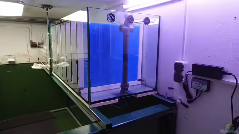 Filterbecken von kellerkind (61)