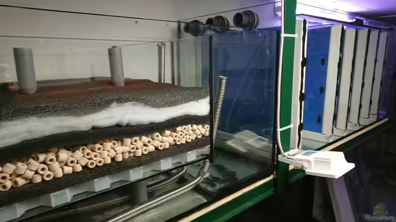 Filterbecken von kellerkind (62)