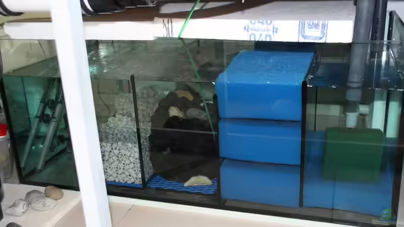 Filterbecken von Klaus Lischka (40)