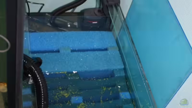 Filterbecken von Kyrea (3)