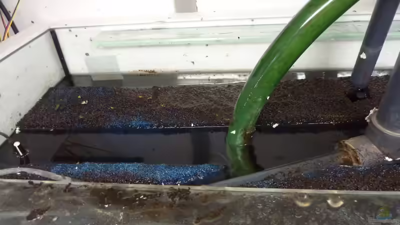 Filterbecken von oben, linke Seite (rechts: Ablauf, hinten: Notablauf, Schlauch: von Jonas B. (24)