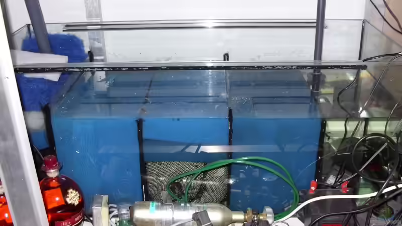 Filterbecken von Oliver Boden (28)