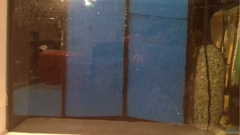 Filterbecken von ronnsch (22)