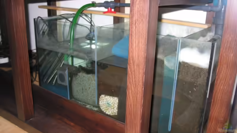 Filterbecken von Schlock (10)