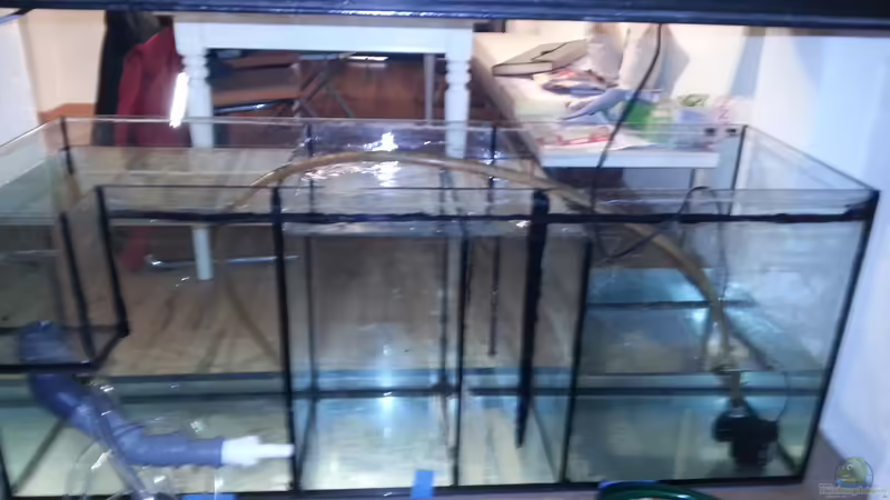 Filterbecken von slobe (67)