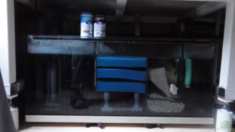 Filterbecken von Strücher Jung (14)