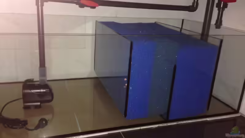 Filterbecken von Swenni (33)