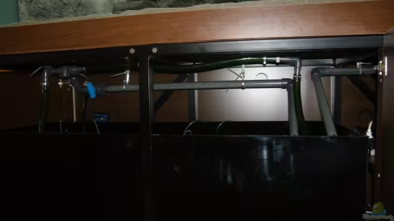 Filterbecken von Zerta (18)