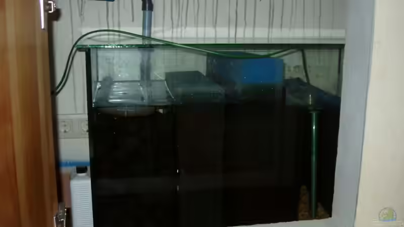 Filterbecken Zulaufseite von Baresi (10)