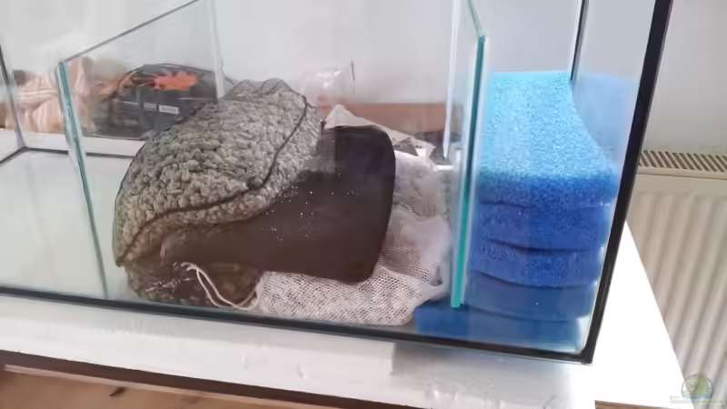 Filterbecken1 von Silvio25 (8)