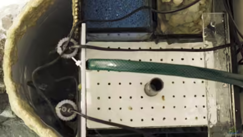 Filterbereich von Oben von Ralf Bauer (18)