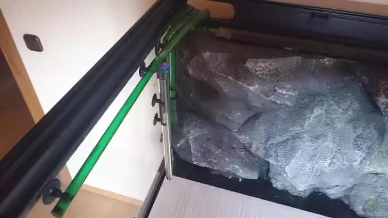 Filterein - und Auslässe des Eheim Installiert von Tobias Summerer (51)