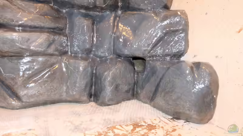 Filtereingang von robbe (6)