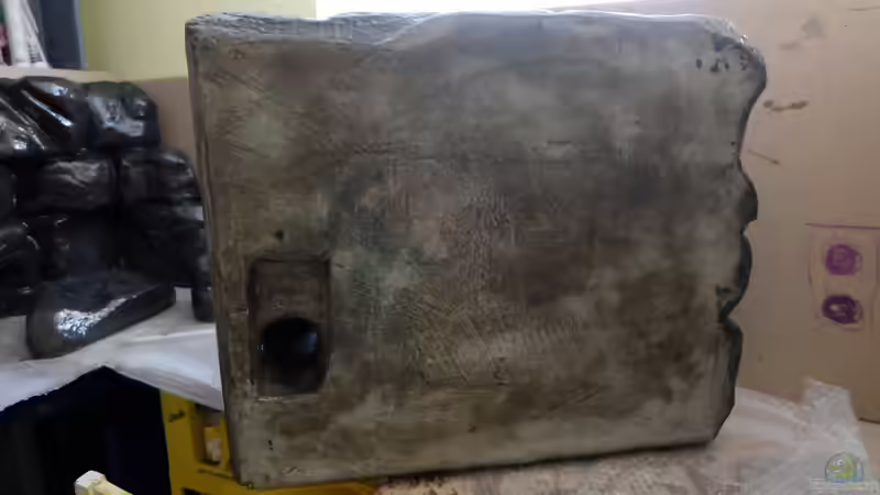 Filtereingang von robbe (8)