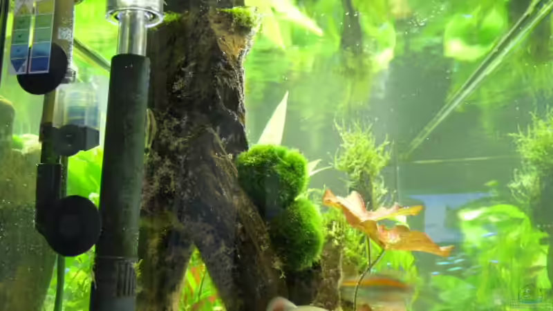 Filtereinlass mit Oberflächenabsaugung  von Pogobeer (24)