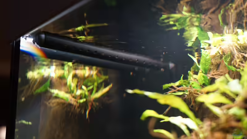 Filtereinlauf aus schwarzen Polycarbonatrohr von unter Wasser  von Jonas B. (45)