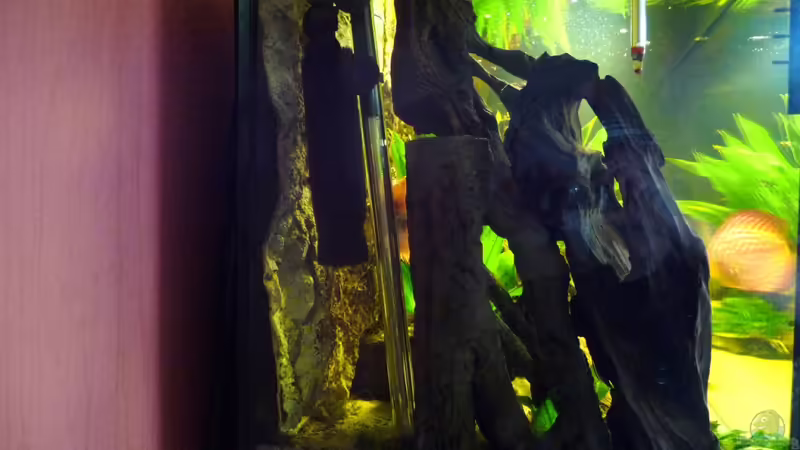 Filtereinlauf und Heizstab von carkl (26)