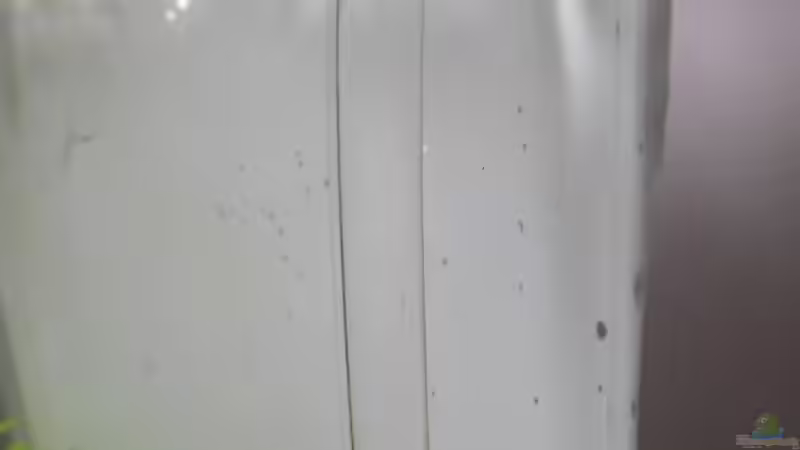 Filtereinlauf von Intershrimpview (8)