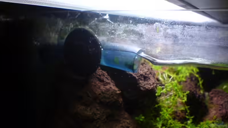 Filtereinlauf von Jens Hug (12)