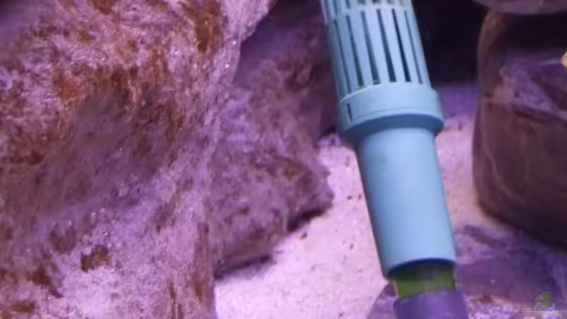 Filtereinlauf von wadde (27)