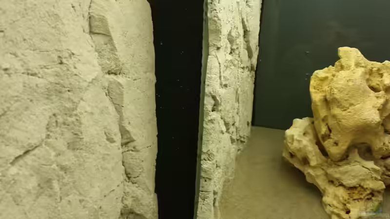 Filtereintritt von baumringzaehler (8)