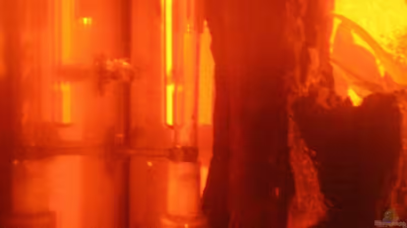 Filtereinzug & Heizer / nicht mehr im Becken von Südamerikafreak BK (58)