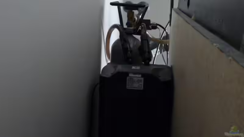 FilterJBL Cristal250 hinter dem Aquarium  von Pogobeer (19)