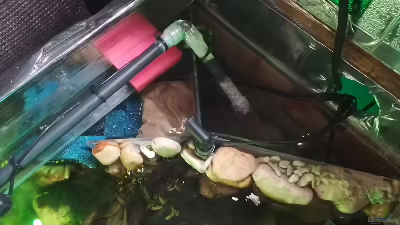 Filterkammer 1 und 2 von Bermuda 3eck (34)