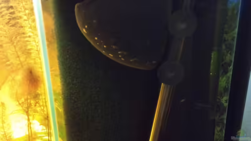 Filterkammer hinter dem rechten Mattenfilter mit Heizstab und  Aktivkohle ( nur für von Christian Wittling (8)