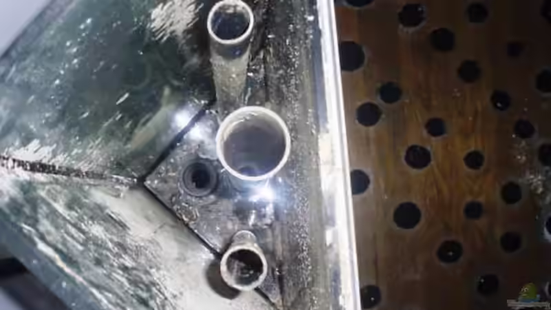 Filterkammer mit 35 Litern Volumen von schmitzkatze (6)