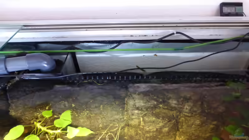 Filterkammer mit ??berlauf von Blackwater (7)