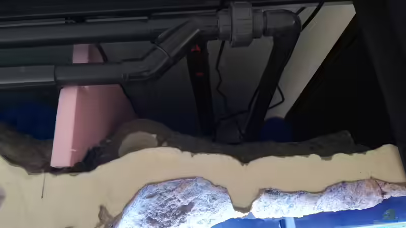 Filterkammer mit Pumpe DC-Runner von Tom (10)