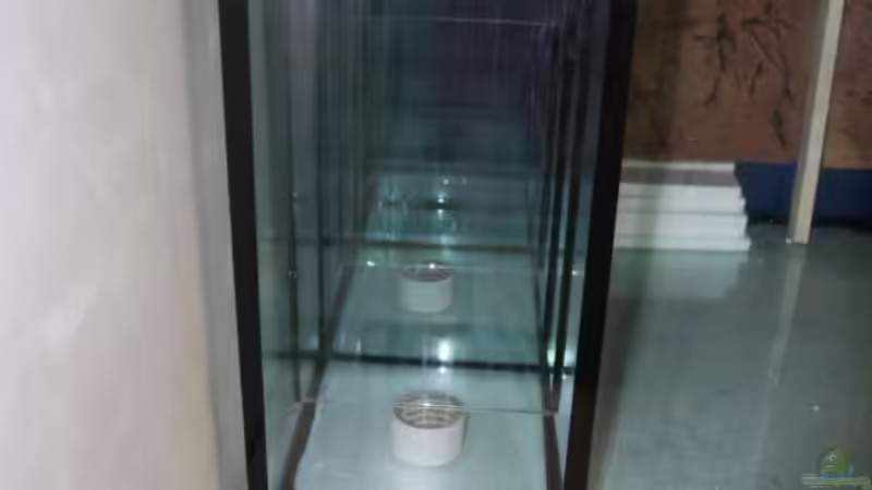 Filterkammer von Barbara Langenberger (13)