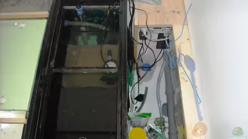 Filterkammer von oben - vorne sieht man den ??berlauf von Herbert (17)