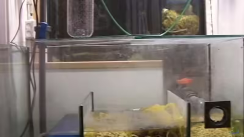 Filterkammer von Rainer Klettke (10)