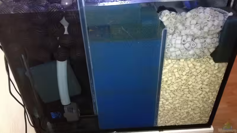 Filterkammer von Waldteufel (4)