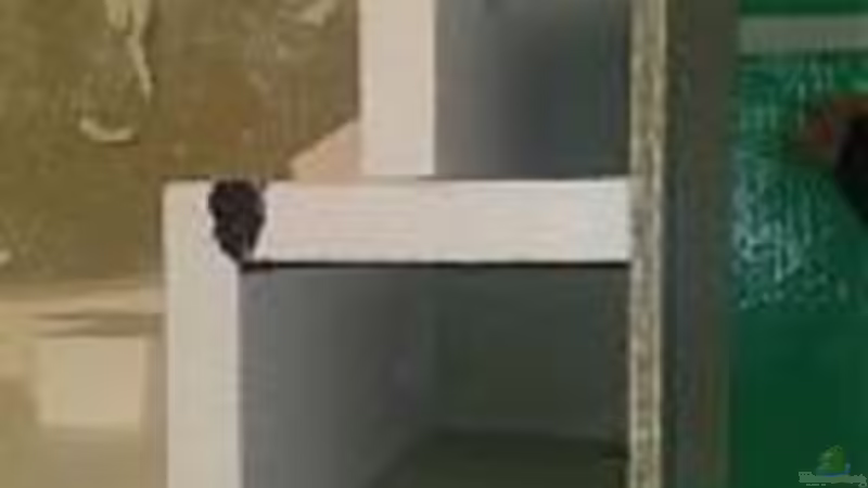 Filterkammern Grundform von Zigermandli (10)