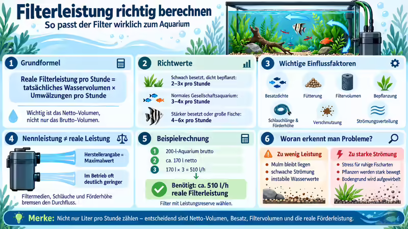 Filterleistung richtig berechnen: So passt der Filter wirklich zum Aquarium
