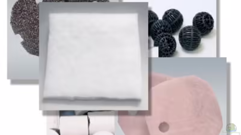 Filtermasse von *angelfish* (27)