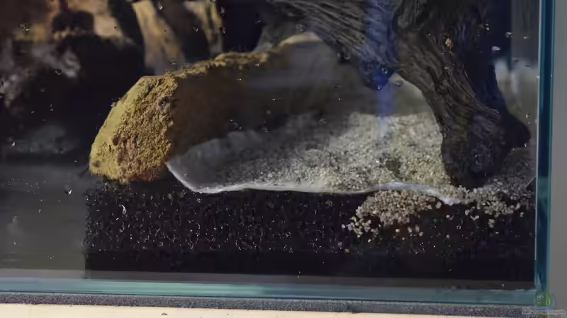 Filtermatte, Vlies, Nährboden von Junglist (7)