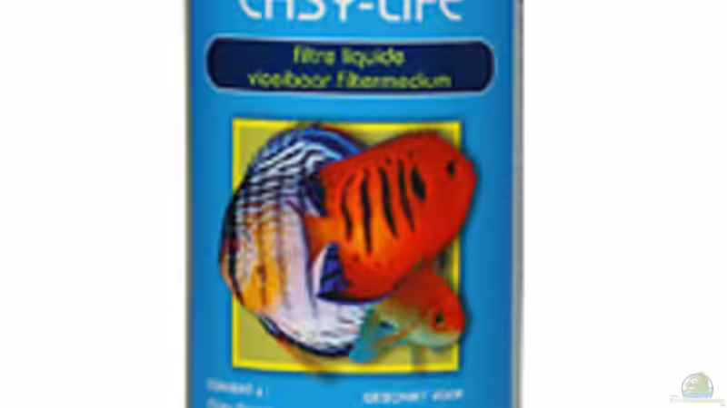 Filtermedium von Johannes Klopf (11)