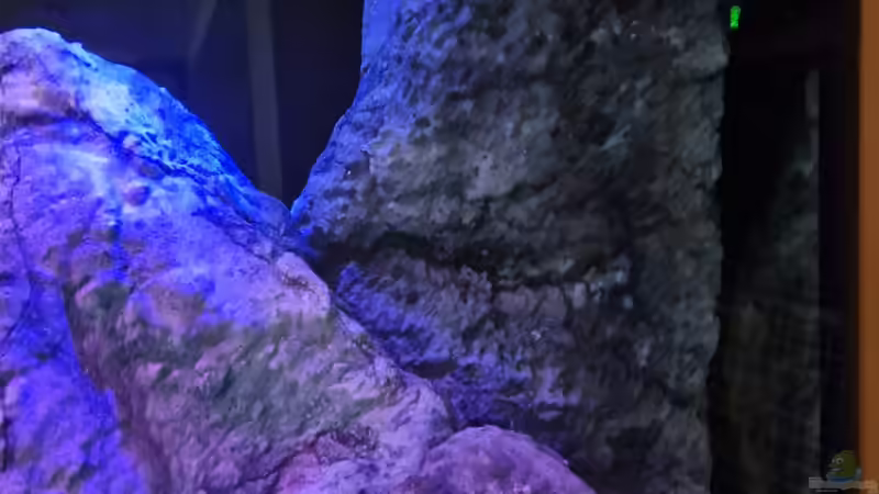 Filtermodul von Sven Meyer (13)