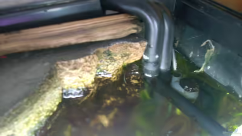 Filterrohrsystem von @quarium Cologne (65)