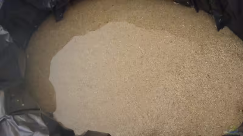 Filtersand wurde mehrmals gewaschen von Oberoesterreicher (26)