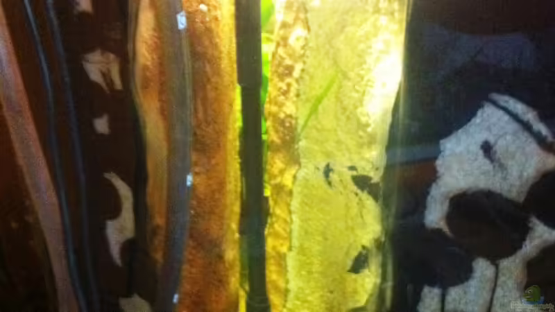 Filterschlucht Rechts von maxarl (24)