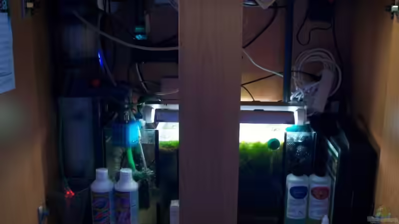 Filterschrank Stand Februar ´09 von Christian Schröter (9)