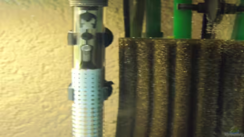 Filterschwamm mit Heizer von Fabian Kühn (10)