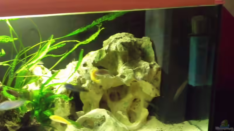 Filterseite von stonis-home (4)