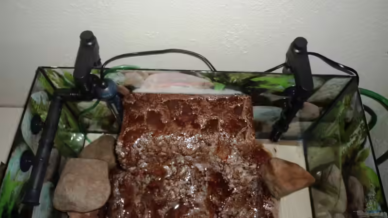 Filtertechnik im Becken von oben von Michael Boeck (17)