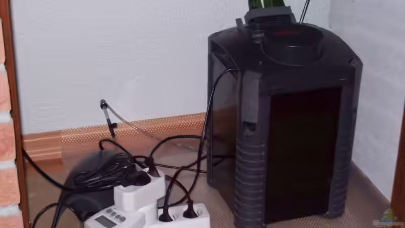 Filtertechnik und Co unterm Aquarium !!!vorher!!! von lützkopf (11)